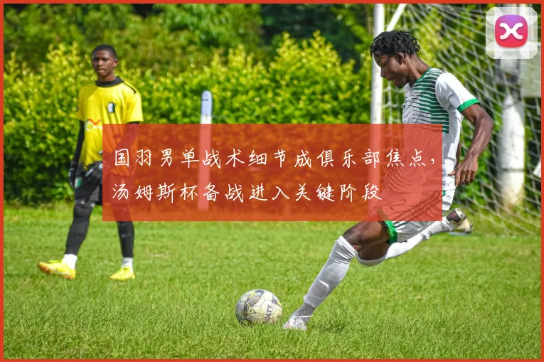 国羽男单战术细节成俱乐部焦点，汤姆斯杯备战进入关键阶段