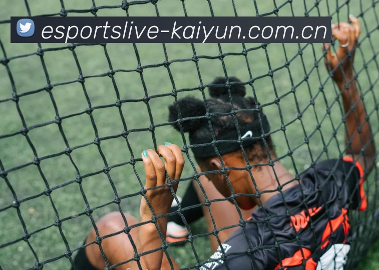 Kaiyun APP 界面演示